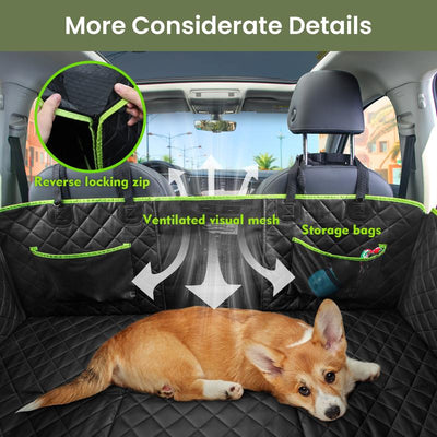 Sprount™ Foldable Paw Cruiser