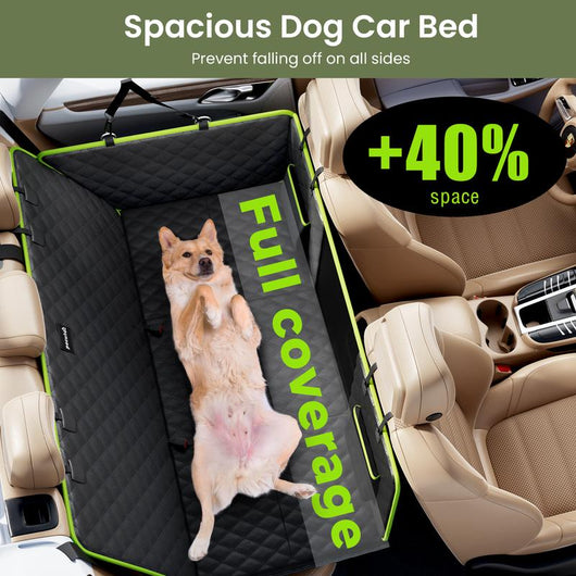 Sprount™ Foldable Paw Cruiser