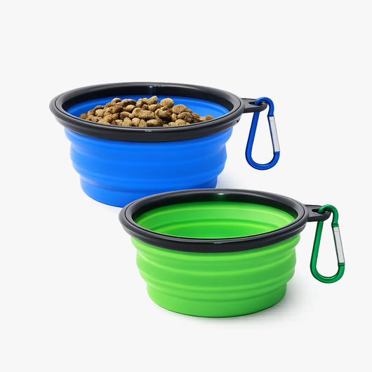 Collapsible Bowl