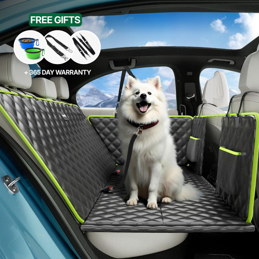 Sprount™ Foldable Paw Cruiser