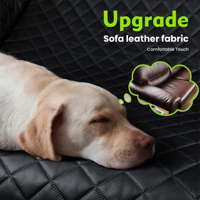 Sprount™ Foldable Paw Cruiser