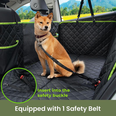 Sprount™ Foldable Paw Cruiser